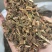 薄荷薄合全草无土吸尘干净各种中草药
