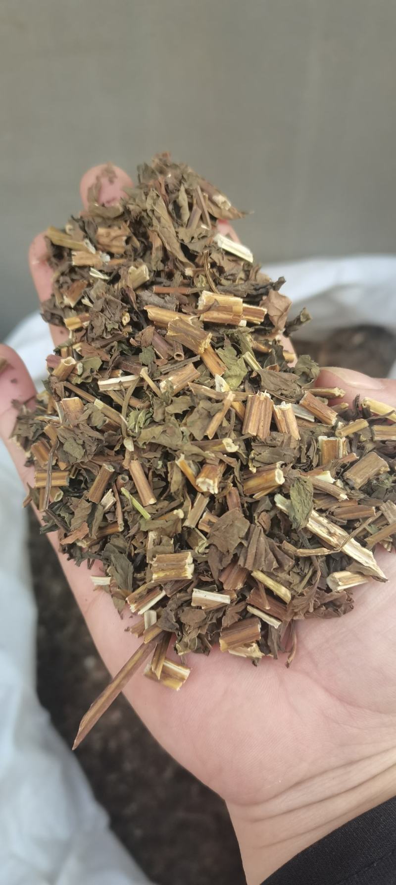 薄荷薄合全草无土吸尘干净各种中草药