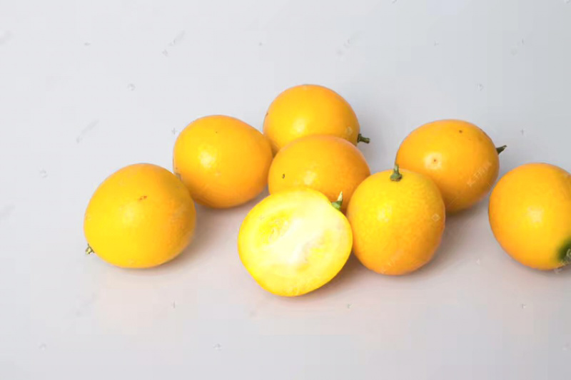 广西金桔，油皮，滑皮，产地代办，欢迎全国老板订购