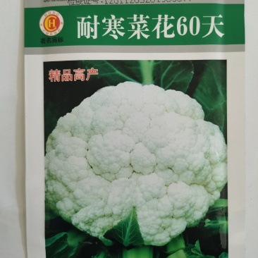 花菜种子春秋种植菜花种籽耐寒菜花60天菜花种子