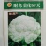 花菜种子春秋种植菜花种籽耐寒菜花60天菜花种子