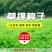 百慕大草种多年生耐寒耐践踏耐旱四季常青