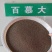 百慕大草种多年生耐寒耐践踏耐旱四季常青