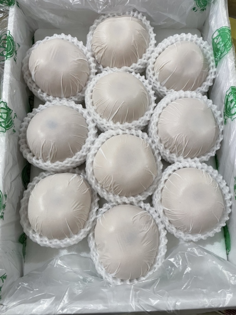 正宗秋月梨大量上市果肉鲜美可口水分充足