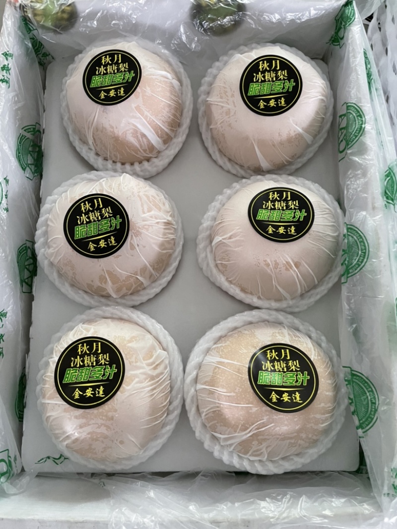 正宗秋月梨大量上市果肉鲜美可口水分充足