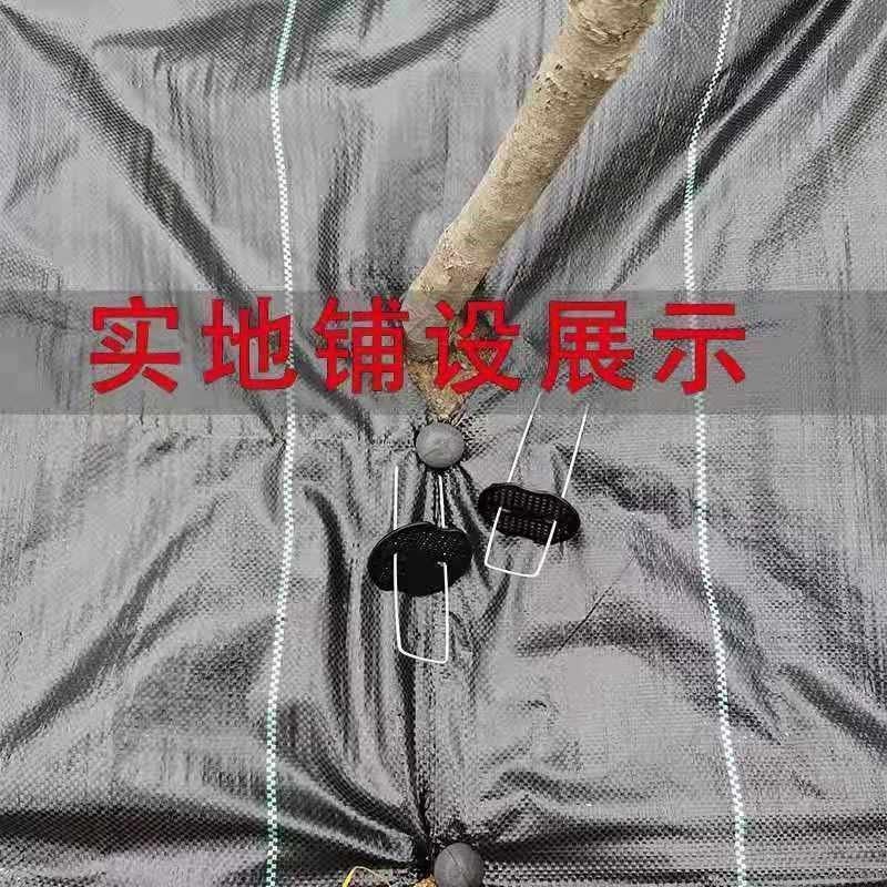 切片防草布打孔除草布抗老化防草布透气透水园林地布果园防草