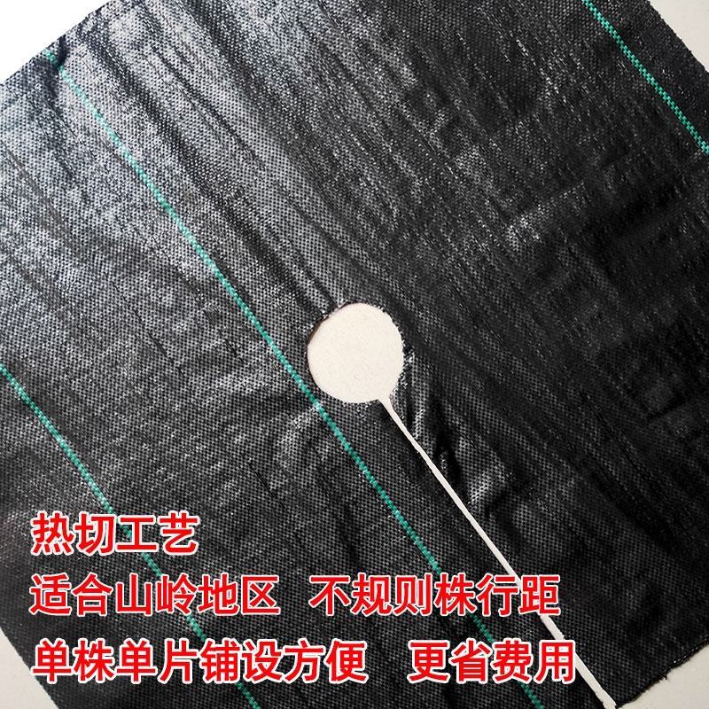 切片防草布打孔除草布抗老化防草布透气透水园林地布果园防草