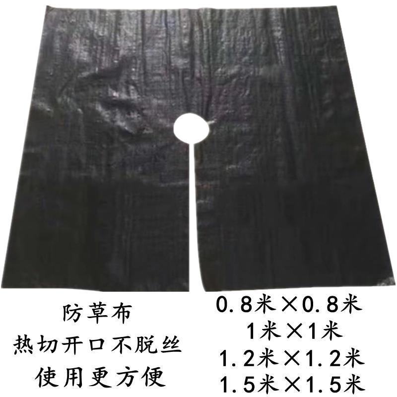 切片防草布打孔除草布抗老化防草布透气透水园林地布果园防草