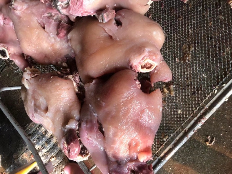山东精品牛头肉，牛脸肉。欢迎大家前来订购
