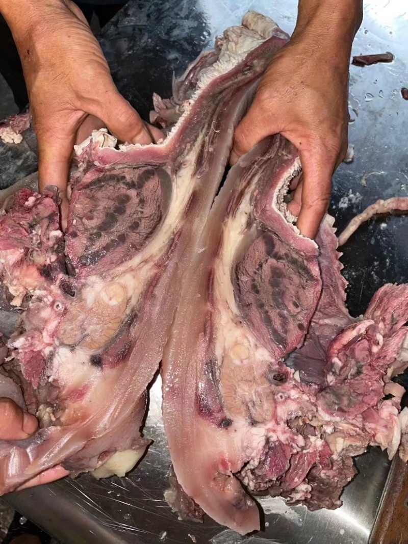 山东精品牛头肉，牛脸肉。欢迎大家前来订购
