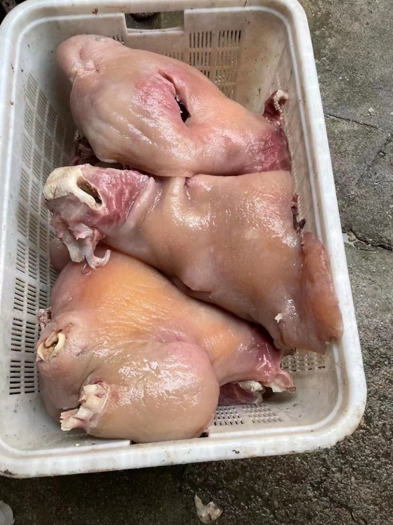 山东精品牛头肉，牛脸肉。欢迎大家前来订购