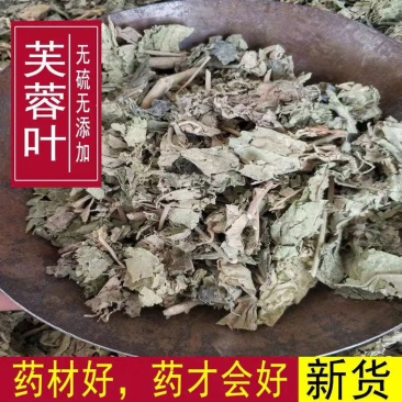 芙蓉叶中药材芙蓉叶天然木芙蓉叶干芙蓉花叶地芙蓉新货