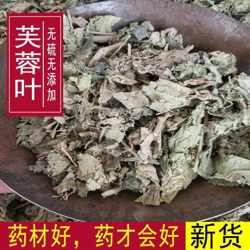 芙蓉叶中药材芙蓉叶天然木芙蓉叶干芙蓉花叶地芙蓉新货