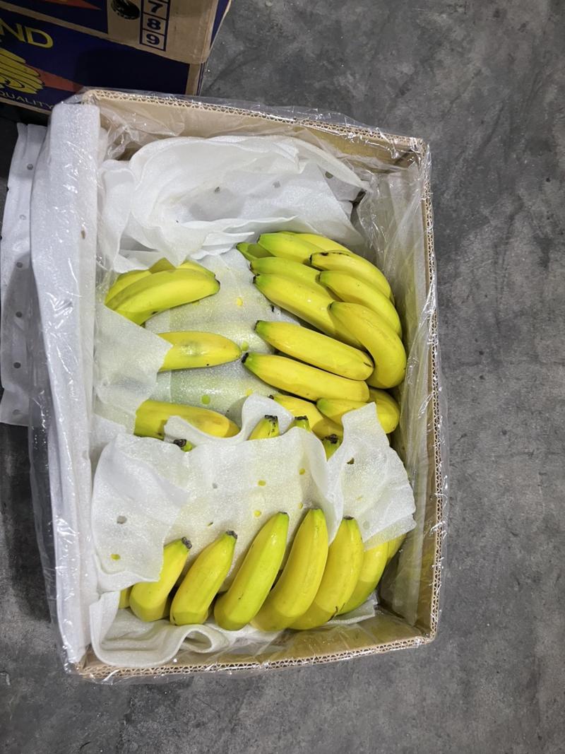 特价香蕉🍌