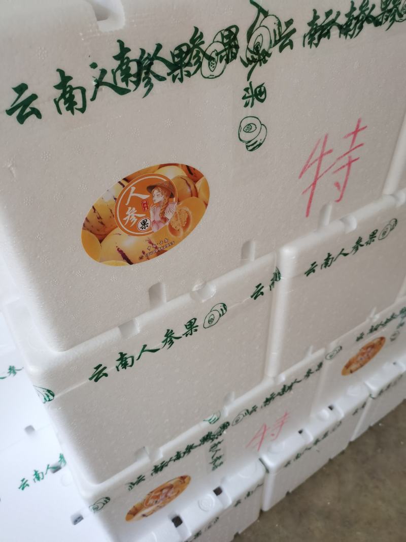 人参果