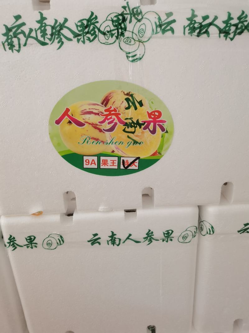 人参果