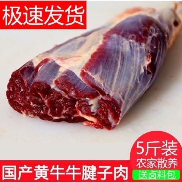 【原切牛腿肉】国产新鲜牛肉冷鲜牛腿肉批发无注水无调理包邮