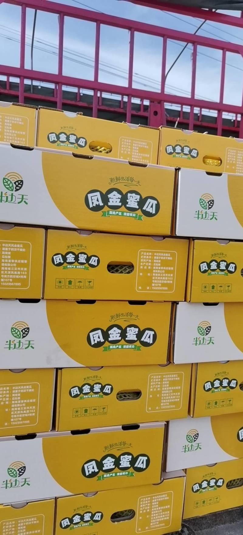 【热销】海南哈密瓜25号晓蜜，供应批发市场社区团购等等