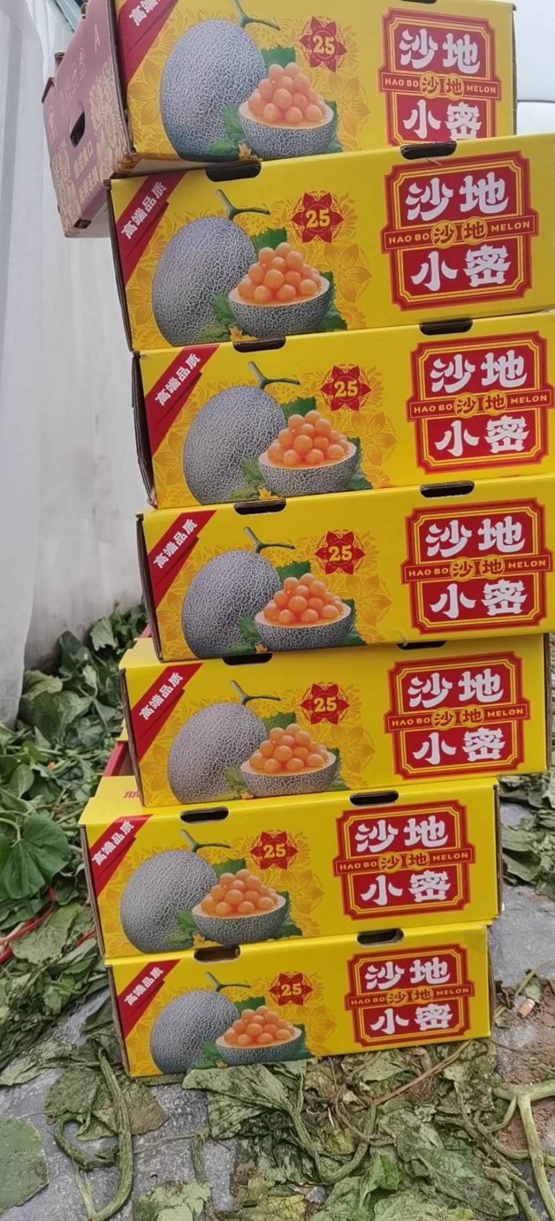 【热销】海南哈密瓜25号晓蜜，供应批发市场社区团购等等