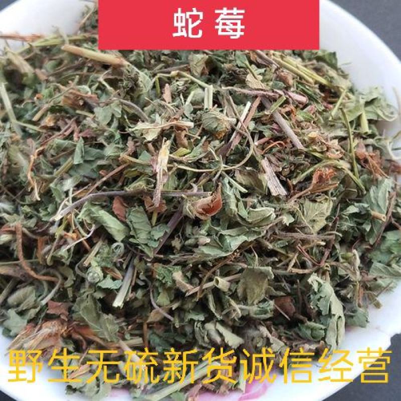 蛇莓，优质野生蛇莓精挑细选切片质量保证，欢迎咨询选购