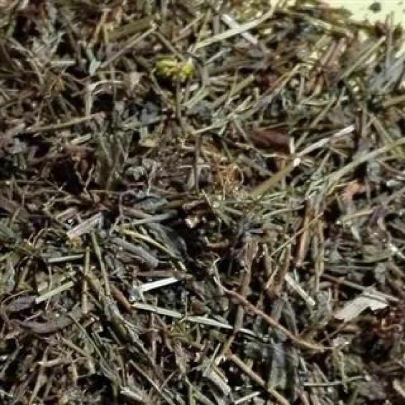 田基草，正品野生田基黄片质量保证，经营各种中药材！