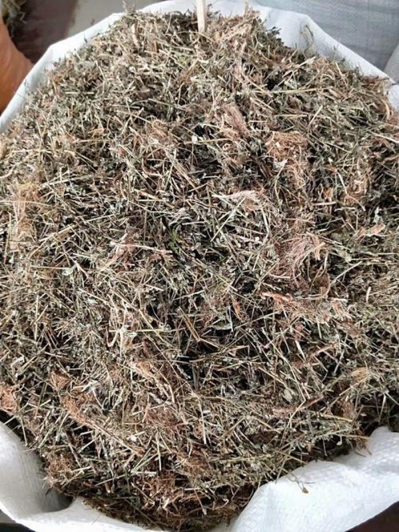 田基草，正品野生田基黄片质量保证，经营各种中药材！