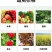 奥丰钙镁硼锌铁肥料五种元素一次补齐中微量元素水溶肥