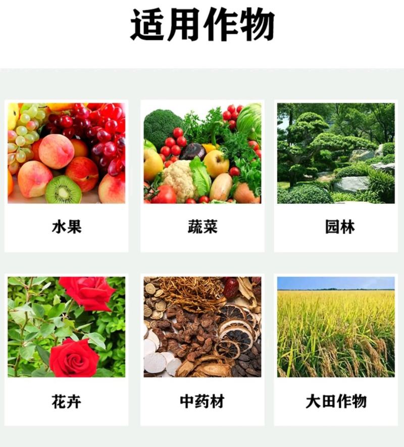 奥丰钙镁硼锌铁肥料五种元素一次补齐中微量元素水溶肥