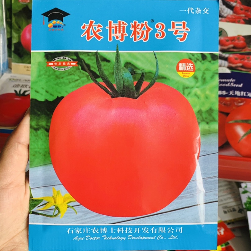 新一代耐热粉红色番茄种子果大抗裂西红柿种子果硬耐贮