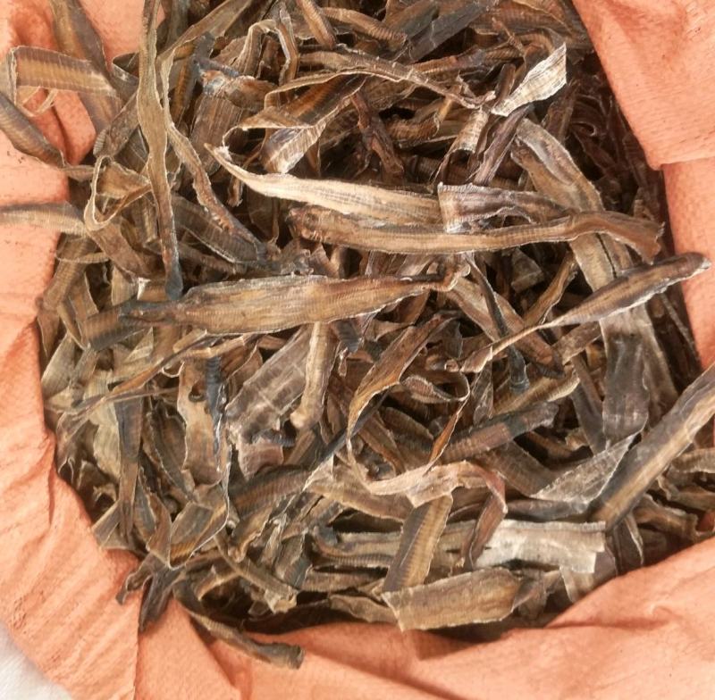 振兴药材批发供应全开地龙规格齐全产地直供一手货源全国发货