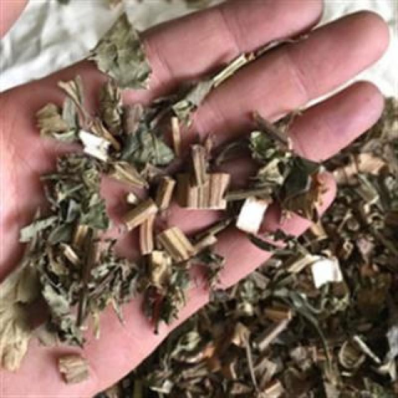 泽兰，正品无硫泽兰片新货质量保证，欢迎咨询选购！