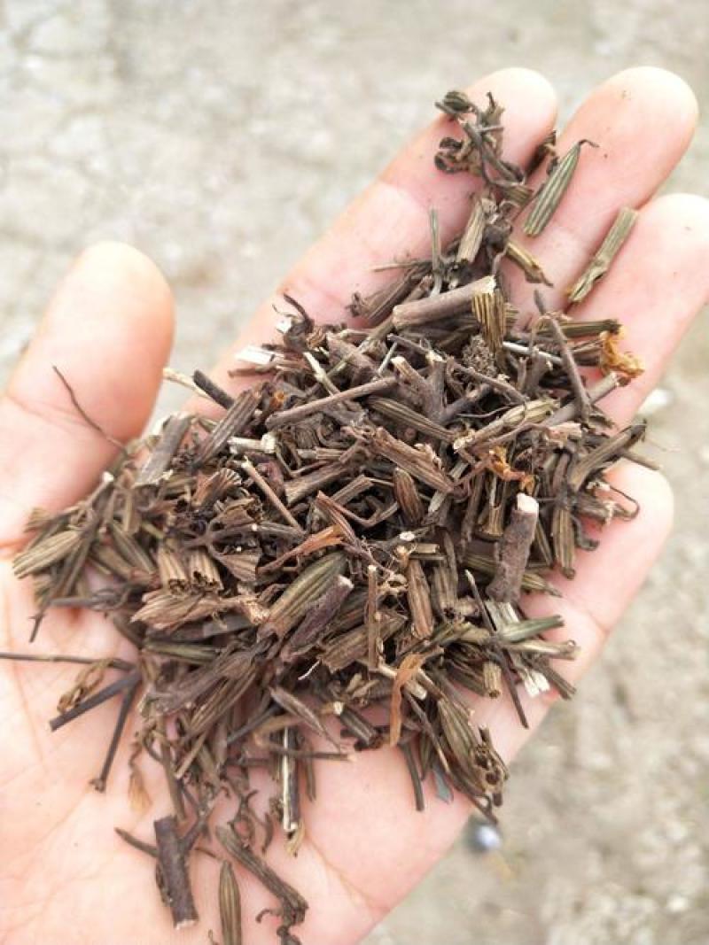 刘寄奴，正品野生刘寄奴片质量保证，欢迎咨询选购