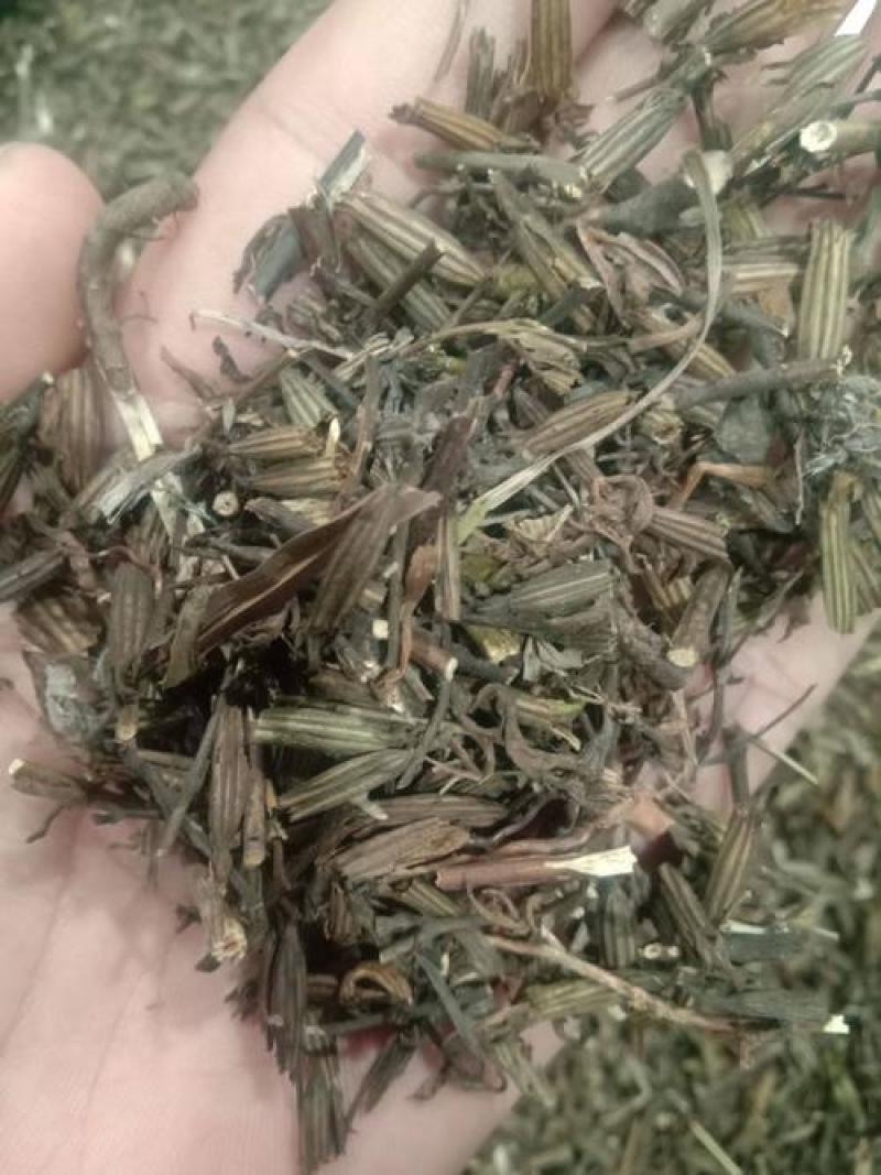 刘寄奴，正品野生刘寄奴片质量保证，欢迎咨询选购