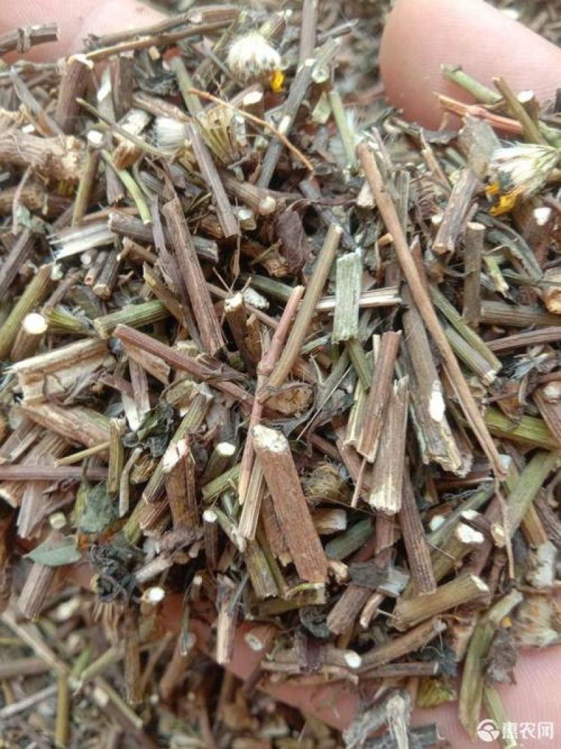 千里光，正品野生千里光片新货质量保证，欢迎咨询选购！