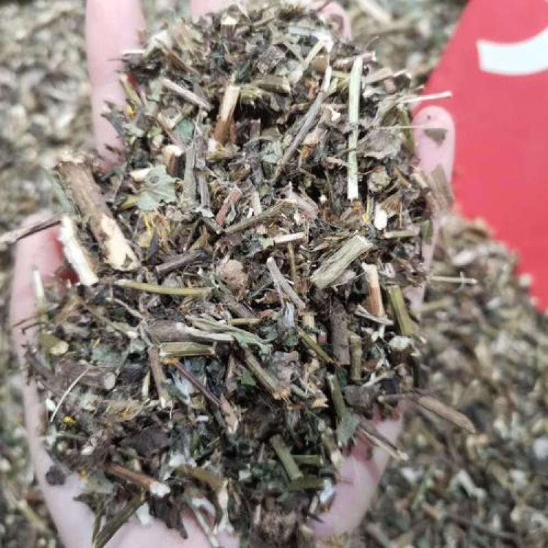千里光，正品野生千里光片新货质量保证，欢迎咨询选购！