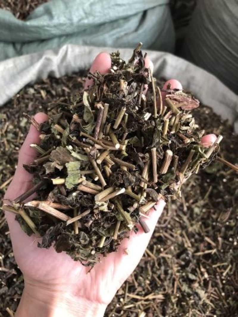 千里光，正品野生千里光片新货质量保证，欢迎咨询选购！