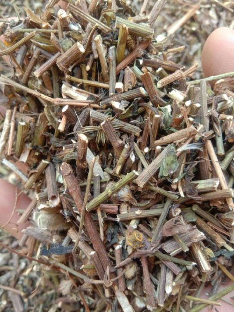千里光，正品野生千里光片新货质量保证，欢迎咨询选购！