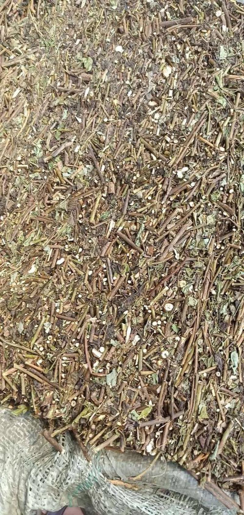 千里光，正品野生千里光片新货质量保证，欢迎咨询选购！