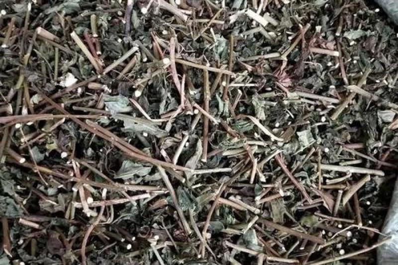 千里光，正品野生千里光片新货质量保证，欢迎咨询选购！