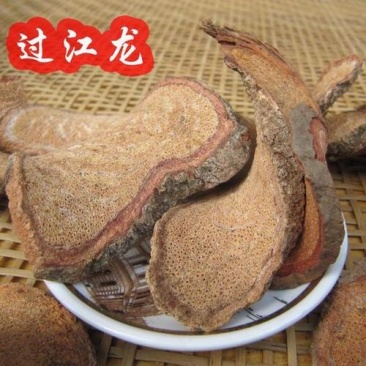 过江龙，质量保证，欢迎咨询选购！