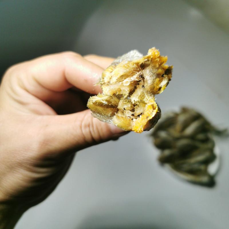 又脆又好吃的小黄酥鱼，一件10斤，一手货源