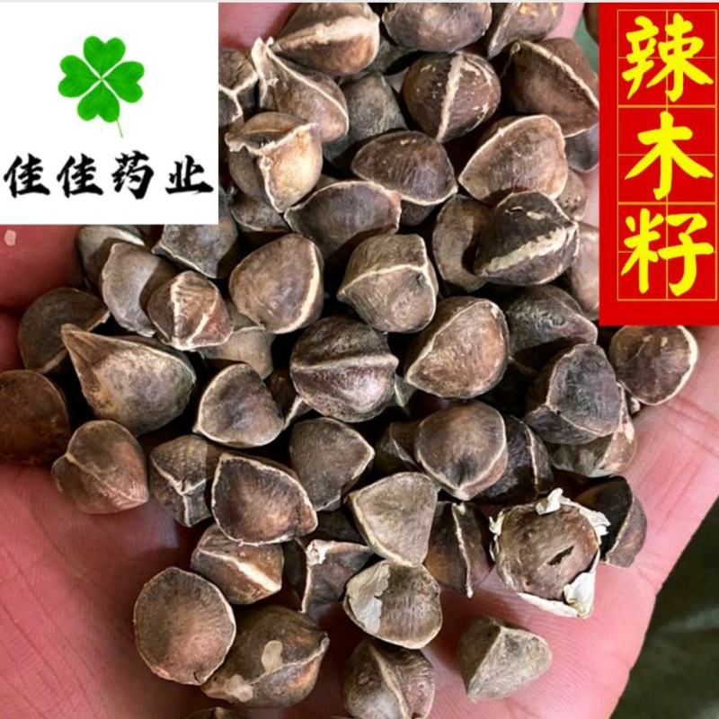 辣木籽印度进口辣木籽中大颗粒选货货干
