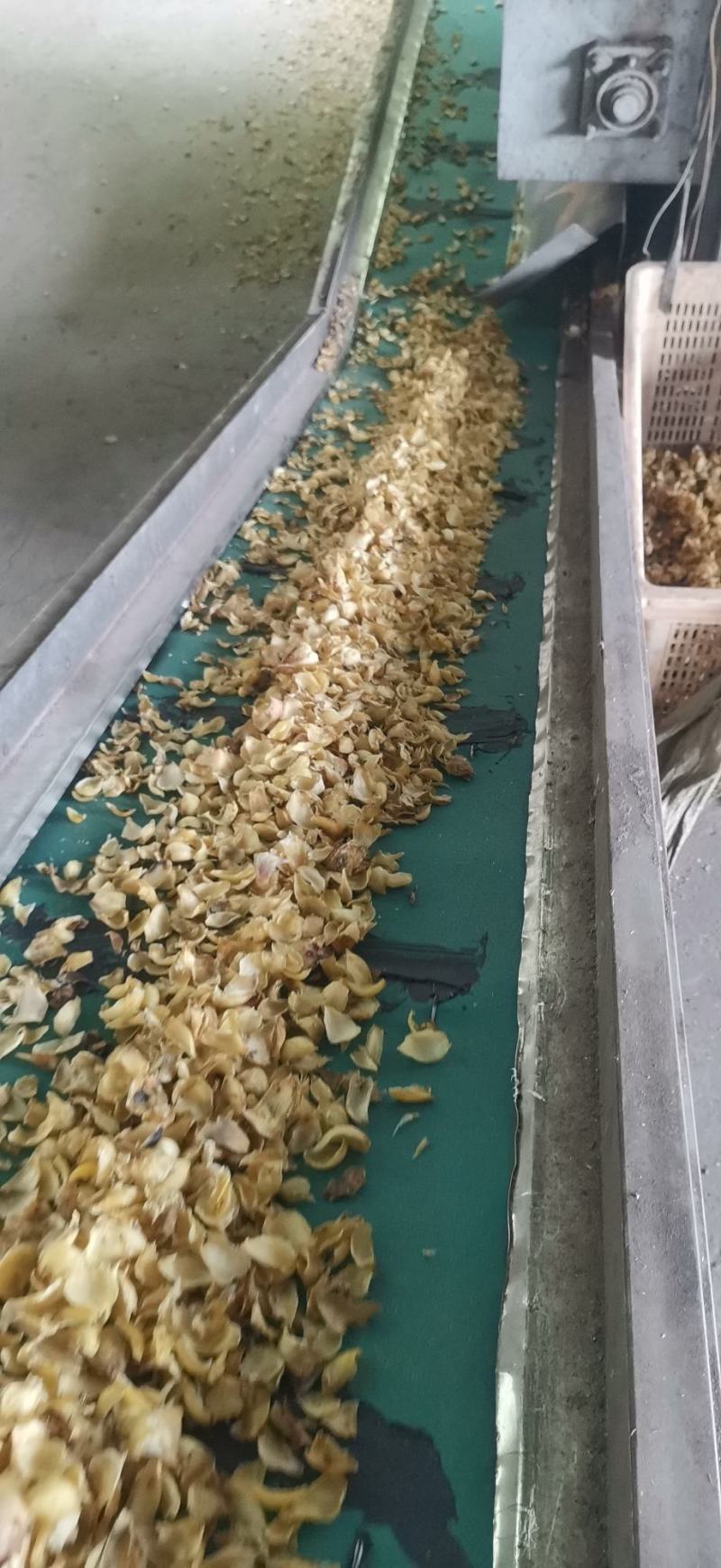 湘西龙山百合干片，加工厂源产地，一手货源，保质保量