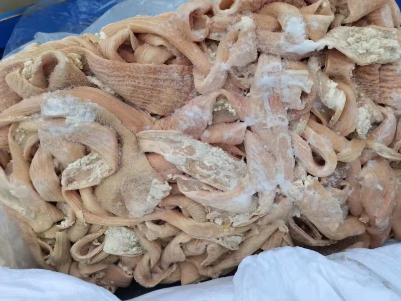 牛大肠，牛小肠，牛三代，圆肠，一手货源，全国冷链发货