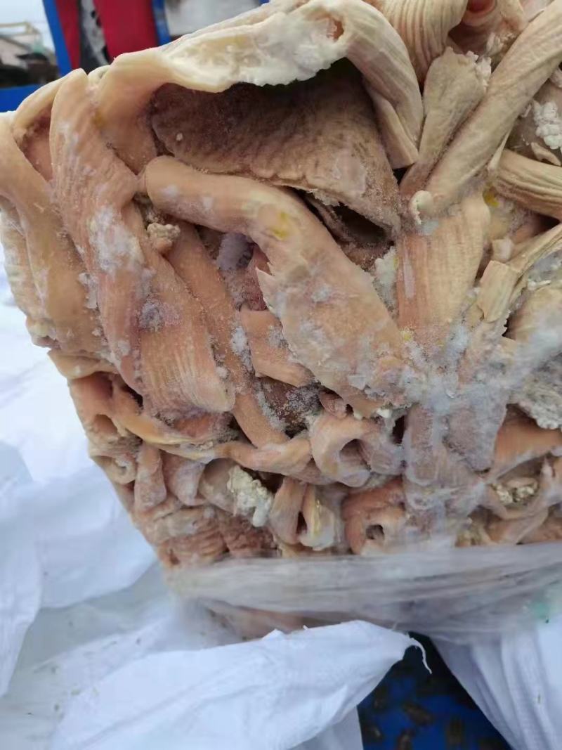 牛大肠，牛小肠，牛三代，圆肠，一手货源，全国冷链发货
