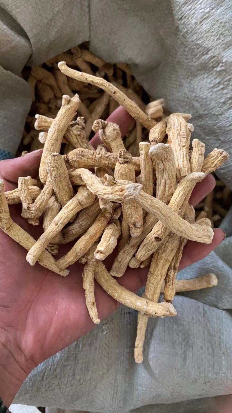 人参无硫货产地直销小支性价比高干度好看规格下