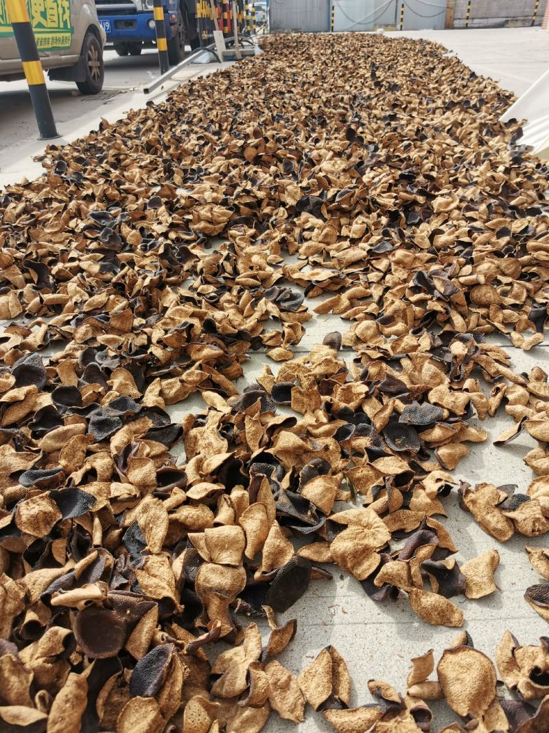 新会陈皮，10年，手货源，厂家货源，大货供应价格从优哦！