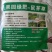 鼠茅草种子正宗进口鼠茅草种籽抑制杂草果园绿肥耐寒性强国产
