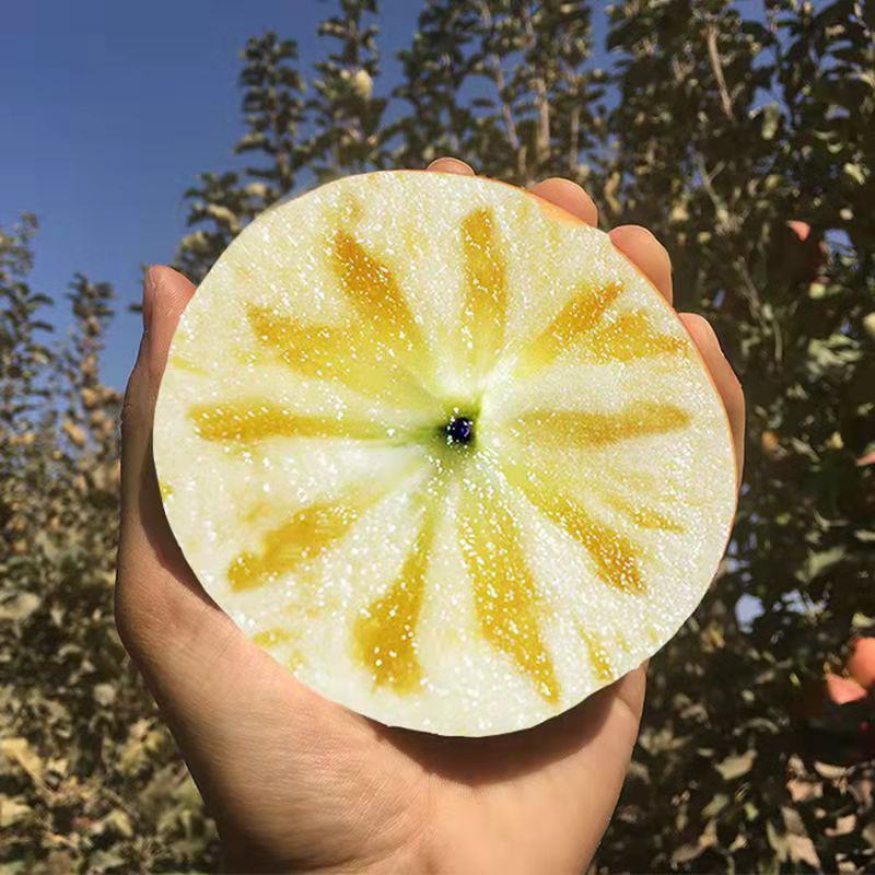 新疆阿克苏冰糖心苹果，商超电商定制版，专业供应链全国到仓