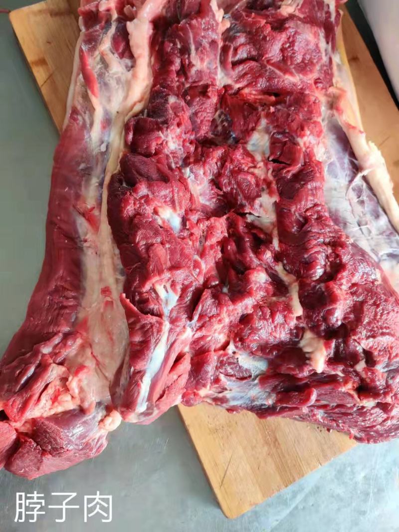 马肉鲜马肉去皮马肉精修马肉一手货源厂家直销